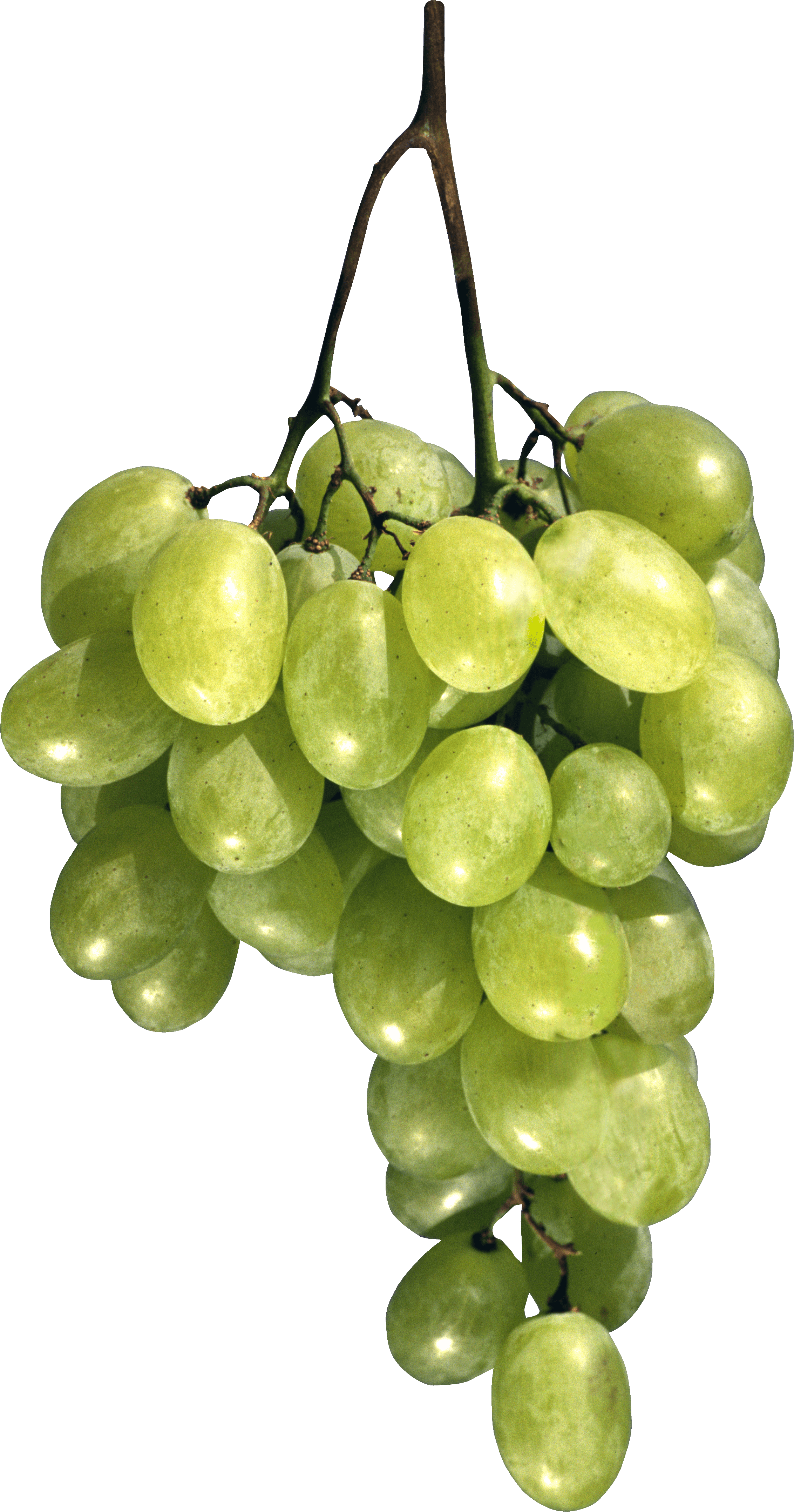 Green Grape Png Image PNG Image