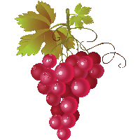 Grape Png Image PNG Image