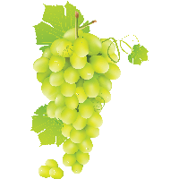 Green Grape Png Image