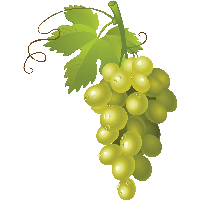 Download Grape Free PNG photo images and clipart | FreePNGImg