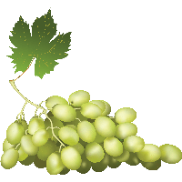 Grape Png Image