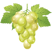 Green Grape Png Image PNG Image