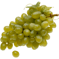 Green Grape Png Image PNG Image