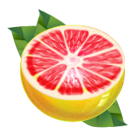 Grapefruit PNG