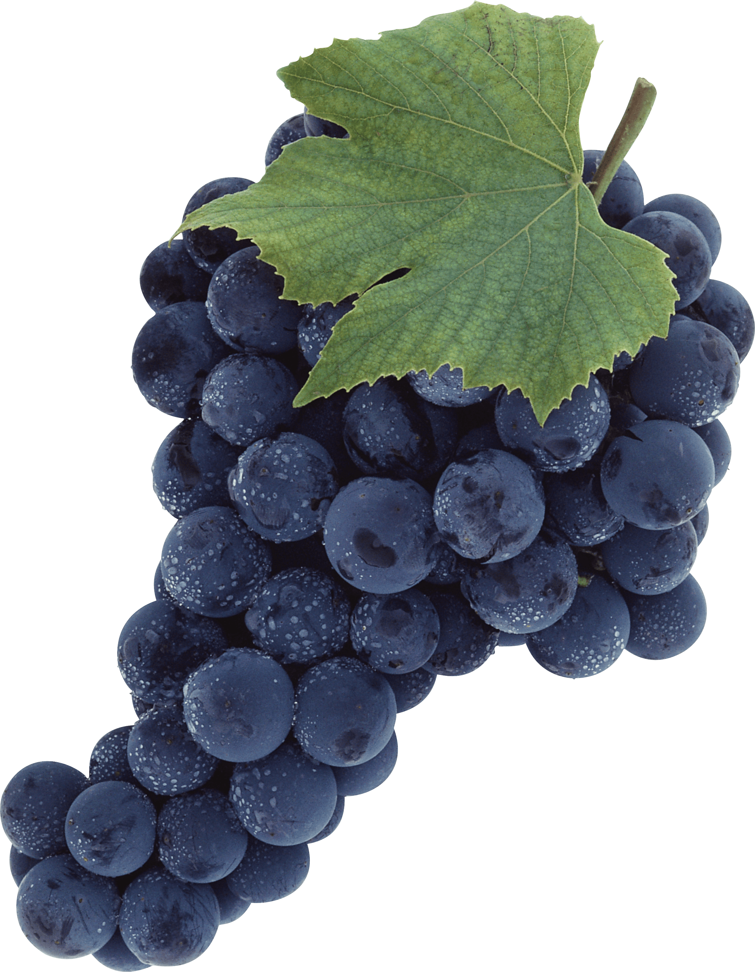Organic Black Grapes PNG Download Free PNG Image