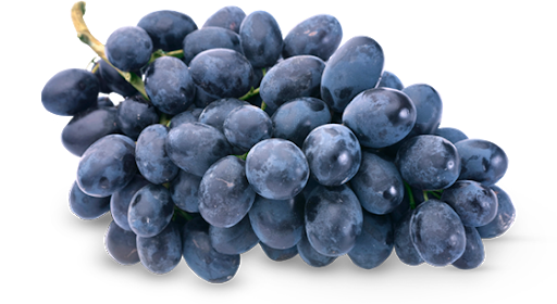 Seedless Black Grapes PNG Image High Quality PNG Image