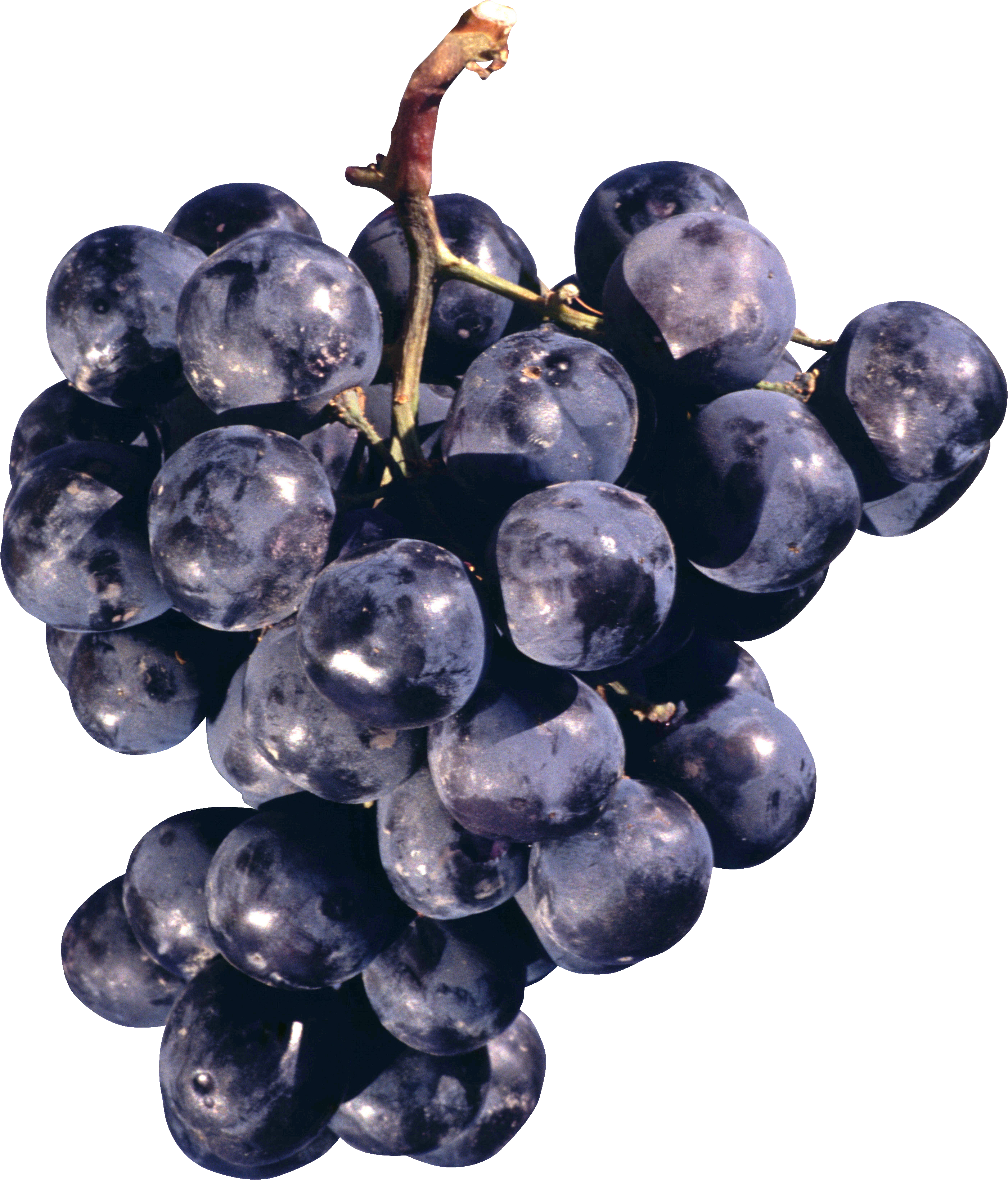 Black Organic Grapes Free Transparent Image HD PNG Image