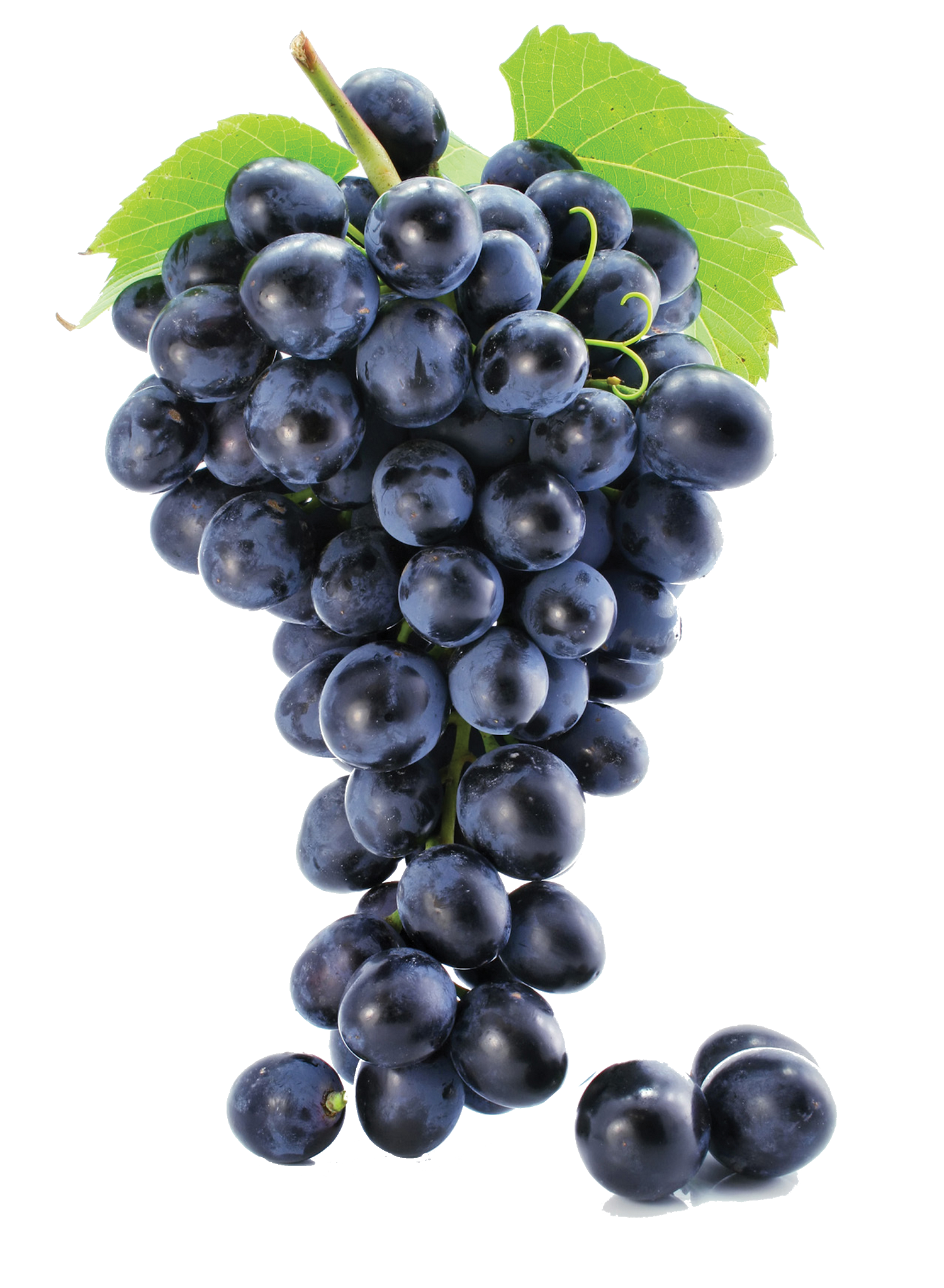 Seedless Black Grapes PNG Image High Quality PNG Image