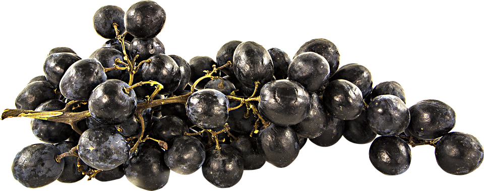 Black Grapes Free Clipart HQ PNG Image