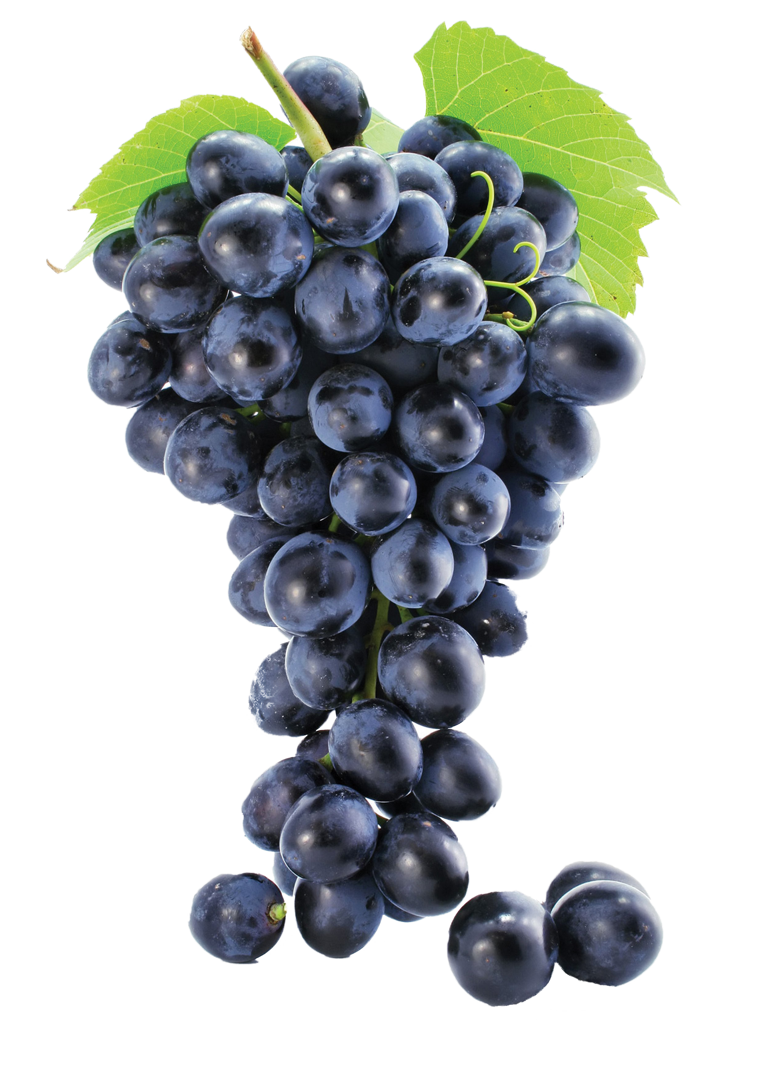 Photos Black Grapes Download HD Transparent PNG Image