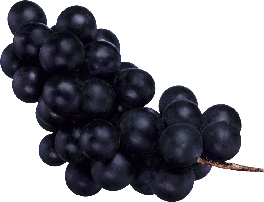 Pic Black Grapes PNG Free Photo PNG Image