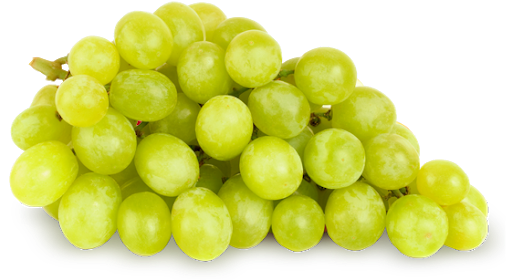 Fresh Green Grapes Free HQ Image PNG Image