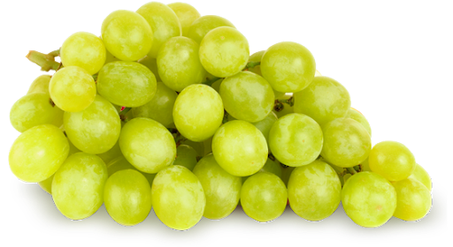 fresh grapes png