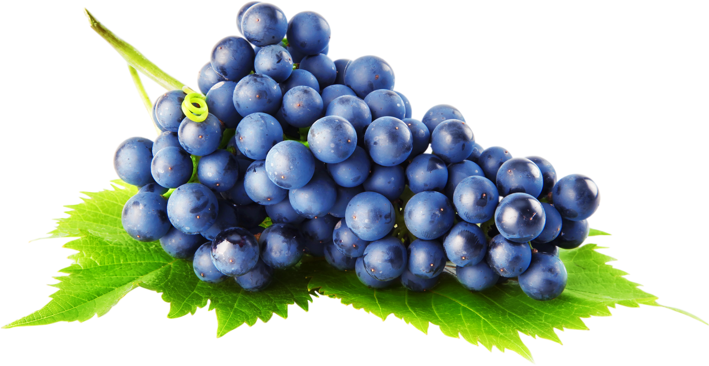 Grapes Free Clipart HD PNG Image