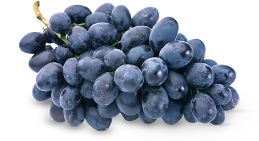 Grapes Free Clipart HD PNG Image