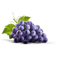 Photos Grapes Download Free Image PNG Image