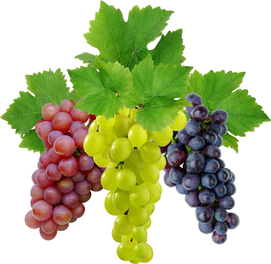 Grapes PNG File HD Transparent PNG Image