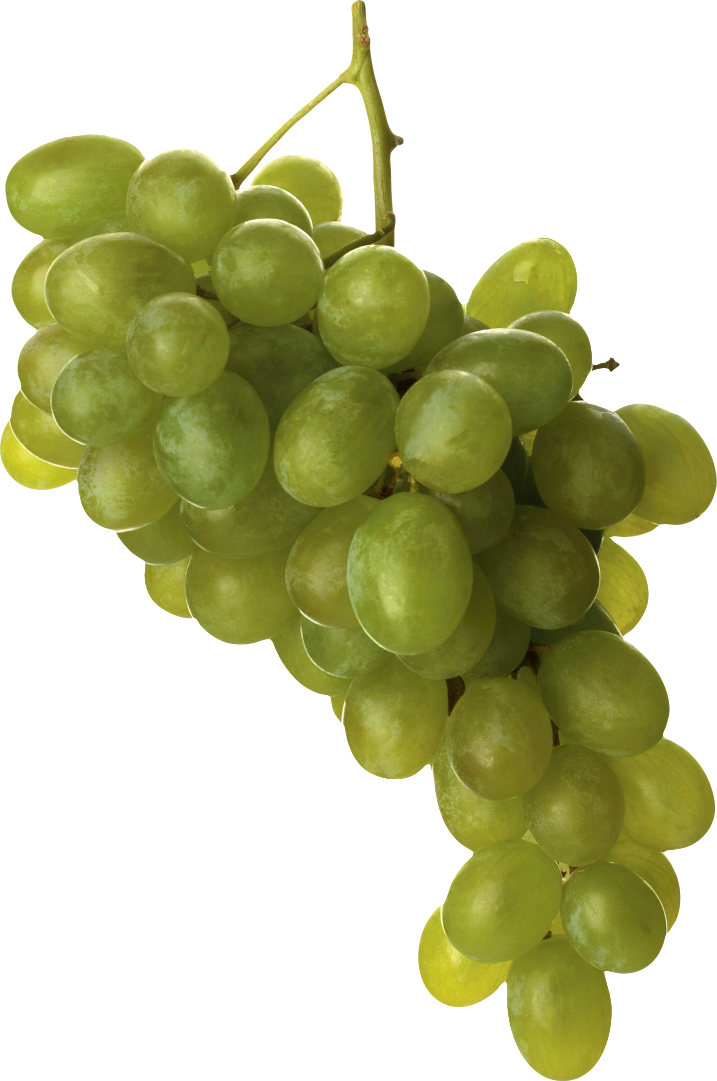 Green Grapes PNG Download Free PNG Image