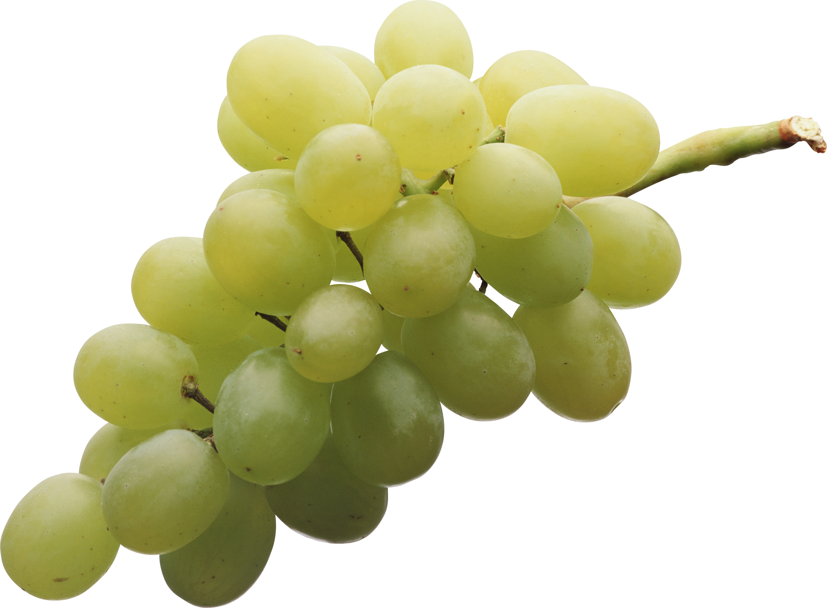 Green Juicy Grapes PNG Image High Quality PNG Image