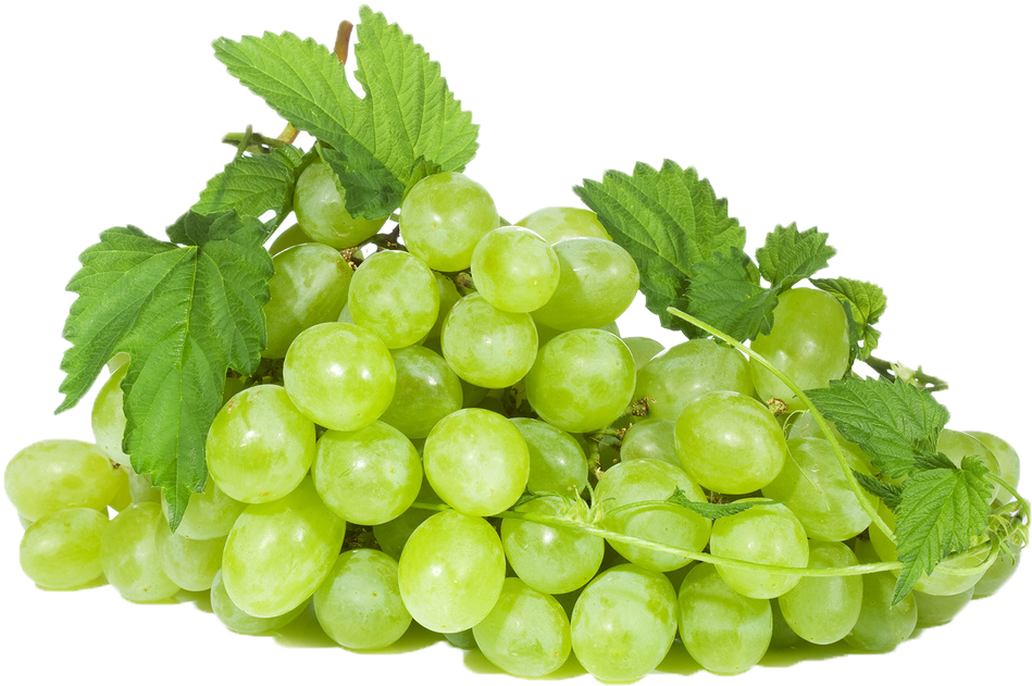 Green Organic Grapes Free Download PNG HD PNG Image