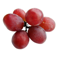 Grapes Red Download Free Image PNG Image