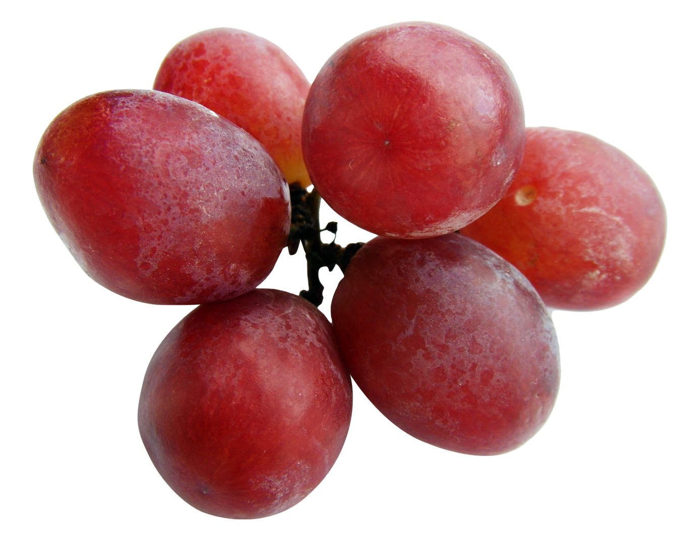 Grapes Red Download Free Image PNG Image