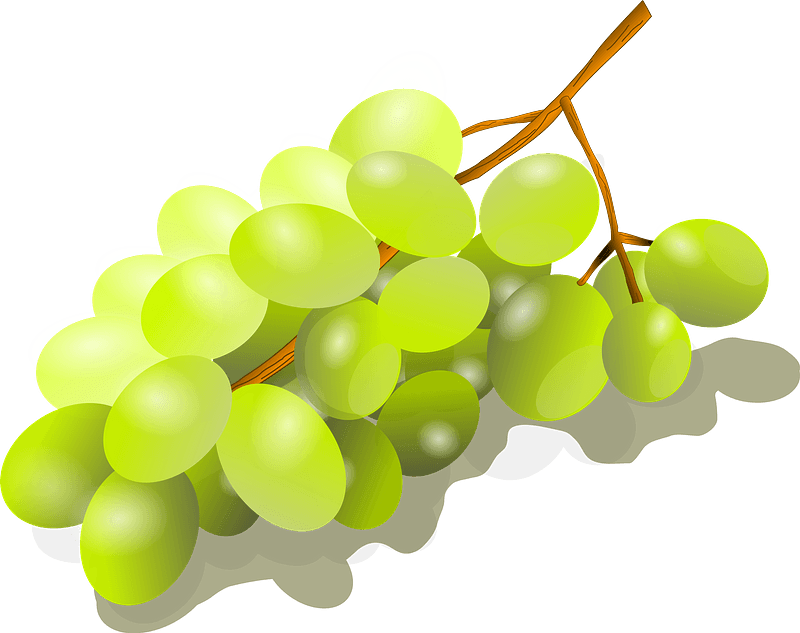 Vector Green Grapes PNG File HD Transparent PNG Image