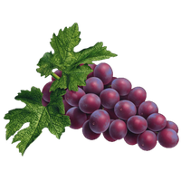 Red Grapes PNG Image