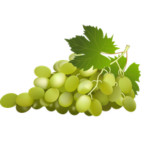 Green Grapes Clip Art PNG Image