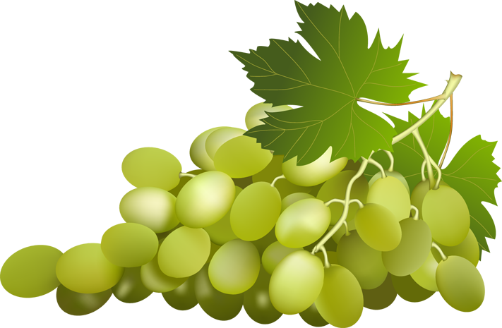 Green Grapes Clip Art PNG Image