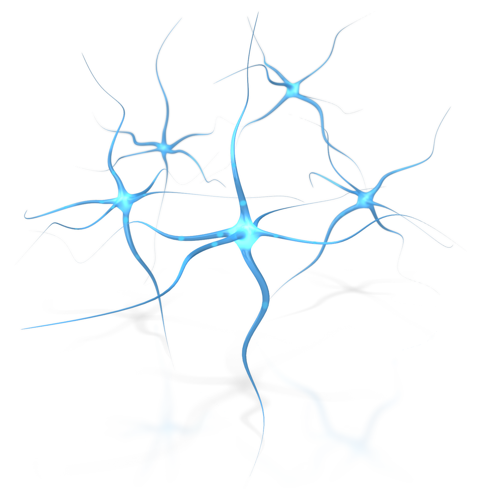 Blue Brain Neuron Flower Human Free Download PNG HD PNG Image