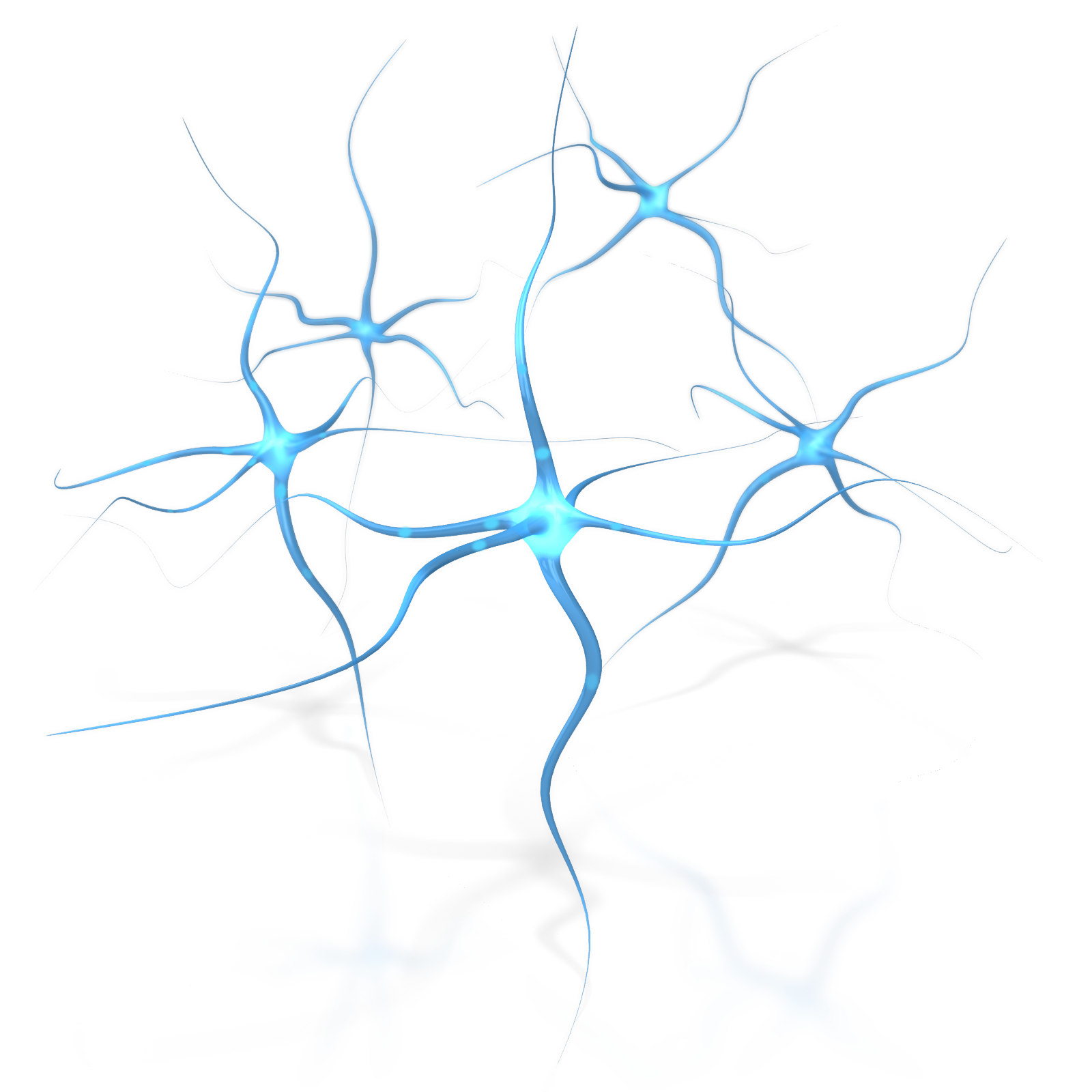 Blue Brain Neuron Flower Human Free Download PNG HD Transparent PNG Image