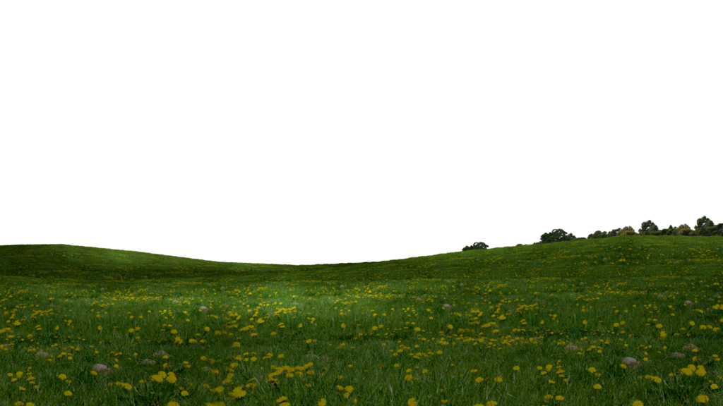 Field Grass Green Photos Free Transparent Image HQ PNG Image