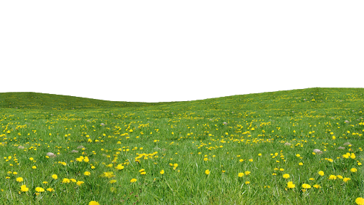 Field Grass Green Free Clipart HD PNG Image