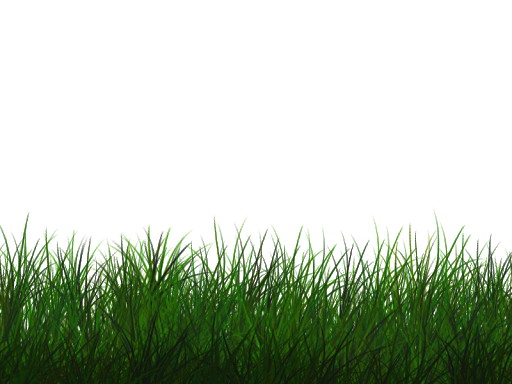 Field Grass Green Free HD Image PNG Image