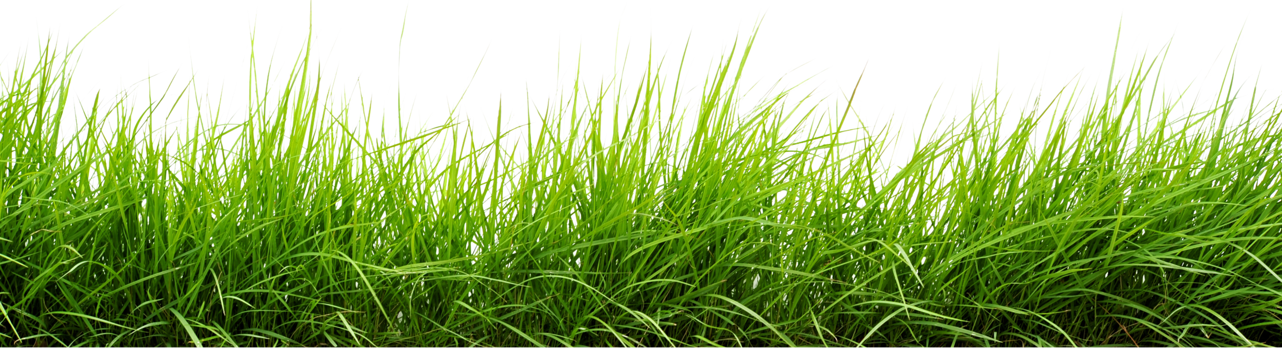 Field Grass Green Landscape Free PNG HQ PNG Image