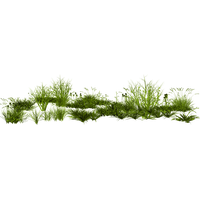 Photos Grass Free PNG HQ PNG