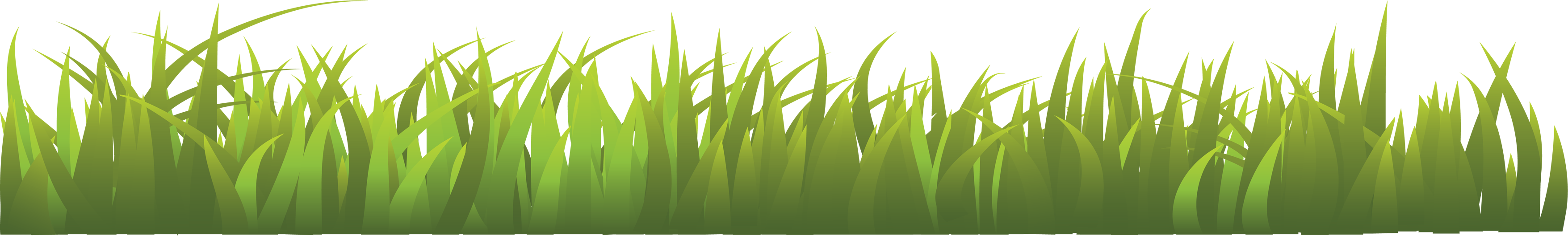 Grass Free Download PNG HD Transparent PNG Image