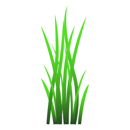 Vector Grass PNG Image High Quality PNG Image