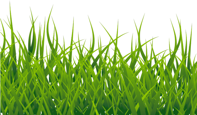 grass vector