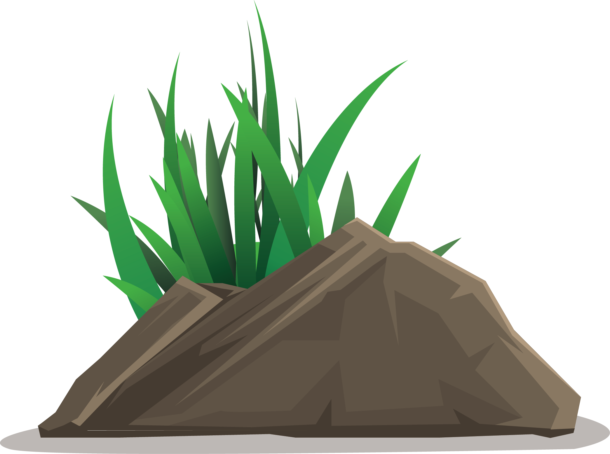 Vector Grass PNG Free Photo PNG Image