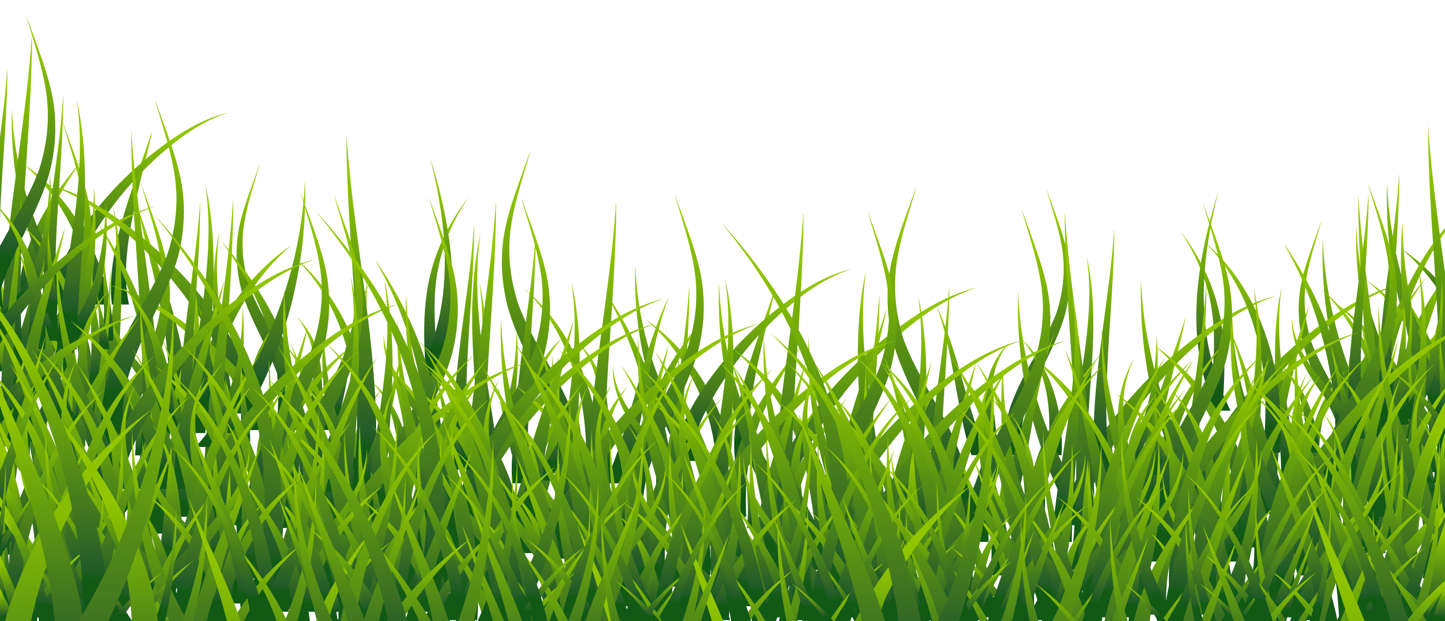 Vector Grass Pic Free Transparent Image HD PNG Image