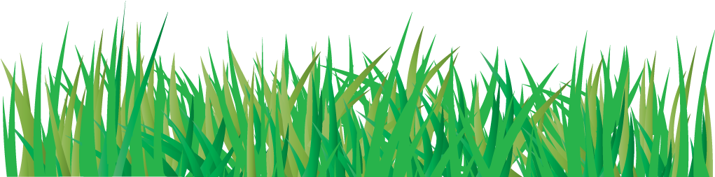Vector Grass PNG Download Free PNG Image
