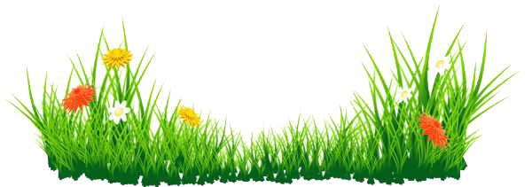 Grass Green PNG File HD PNG Image