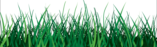 Vector Grass Green Free Download PNG HQ PNG Image