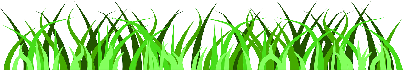 Vector Grass Green Free Download PNG HD PNG Image