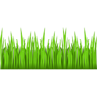 Vector Grass Green Free Transparent Image HD PNG