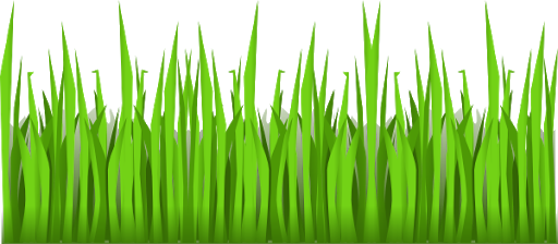 Vector Grass Green Free Transparent Image HD PNG Image