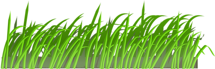 Vector Grass Natural Free Clipart HD PNG Image