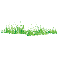 Download Grass Free PNG photo images and clipart | FreePNGimg